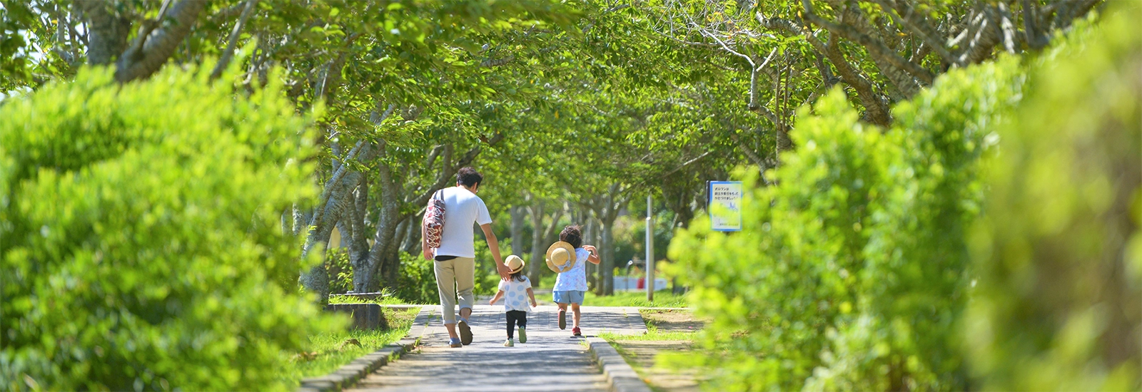 アクセスイメージ